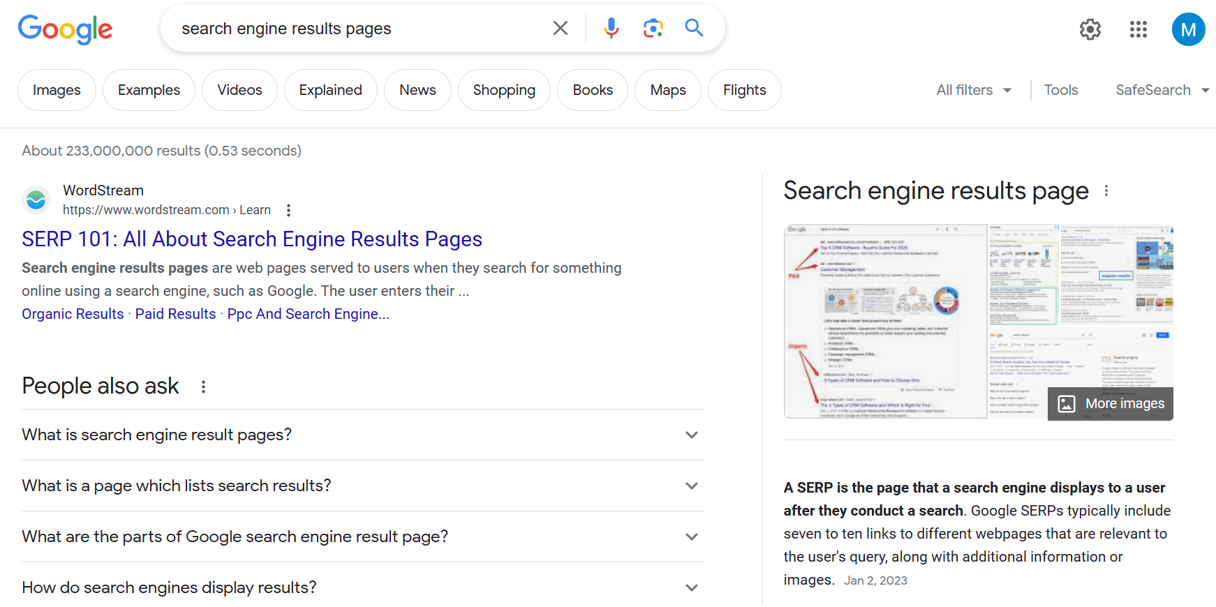 Standard SERP Rankings sample